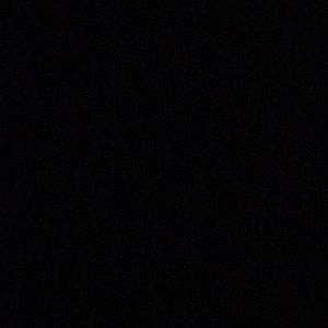 Meet your Posher, Kyra